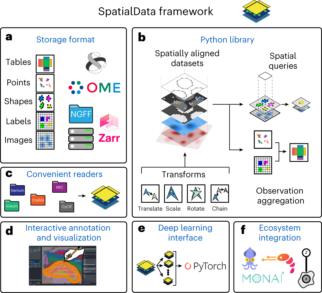 SpatialData: an open and universal data framework for spatial omics figure